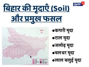 Soil in Bihar